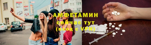 стаф Дмитров