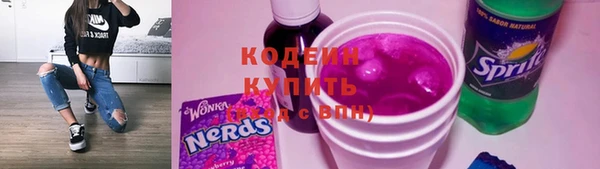 стаф Дмитров