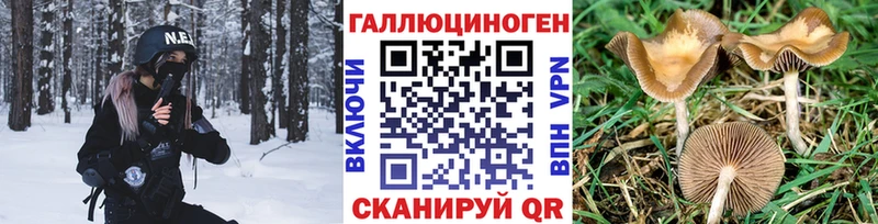 Галлюциногенные грибы Psilocybe  Купить закладки  Карабулак 